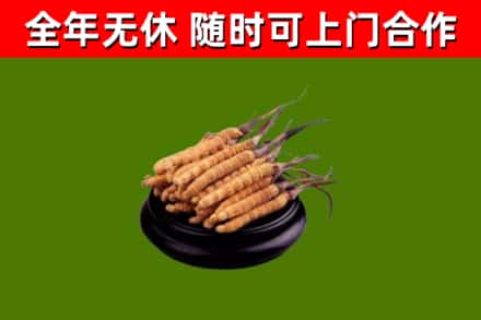 新绛县烟酒回收冬虫夏草.jpg